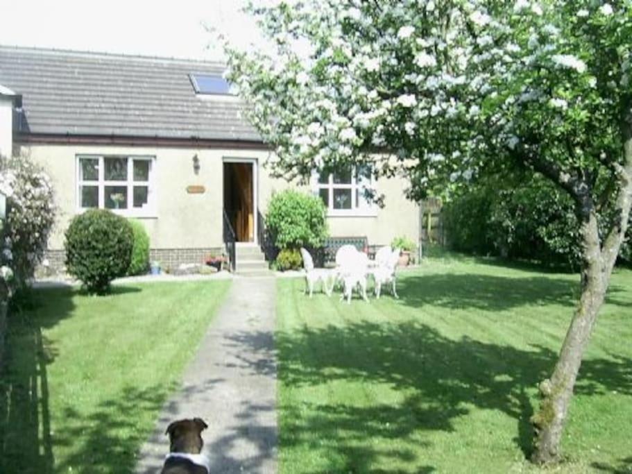 Garden Cottage Helensburgh Εξωτερικό φωτογραφία